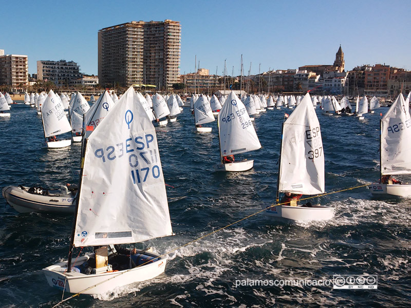 Els regatistes de l'Optimist Trophy, preparant-se per la sortida, aquest matí.