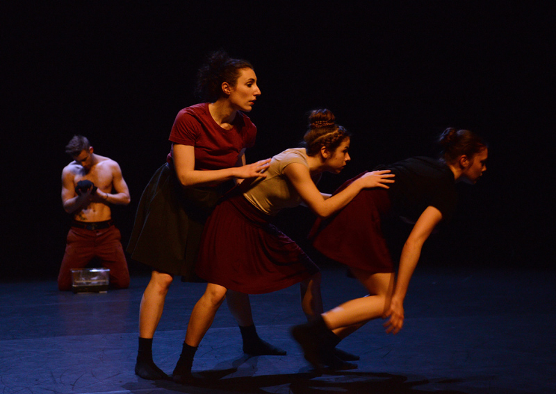 Doble espectacle de dansa contemporània de CobosMika Seed's demà  a La Gorga.