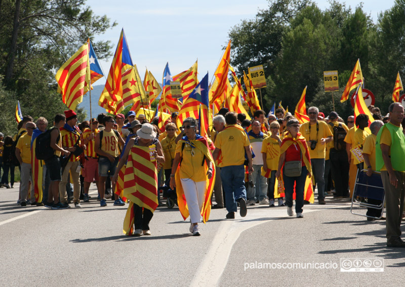 Un tram de la Via Catalana.