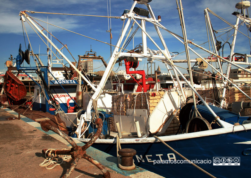 Embarcacions de pesca, al port de Palamós.