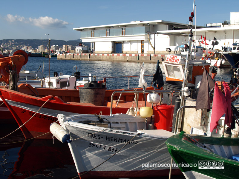 L'edifici de la Confraria de Pescadors de Palamós.