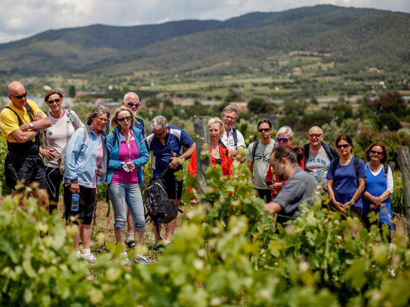 Turistes visitant unes vinyes a Calonge. (Foto: Mas Eugeni.)