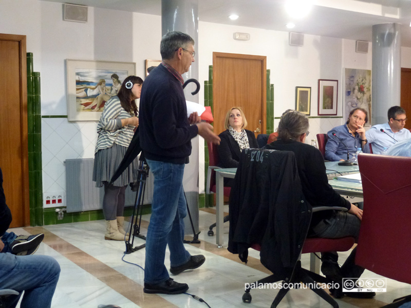 El Jutge de Pau durant la seva intervenció en el Ple.