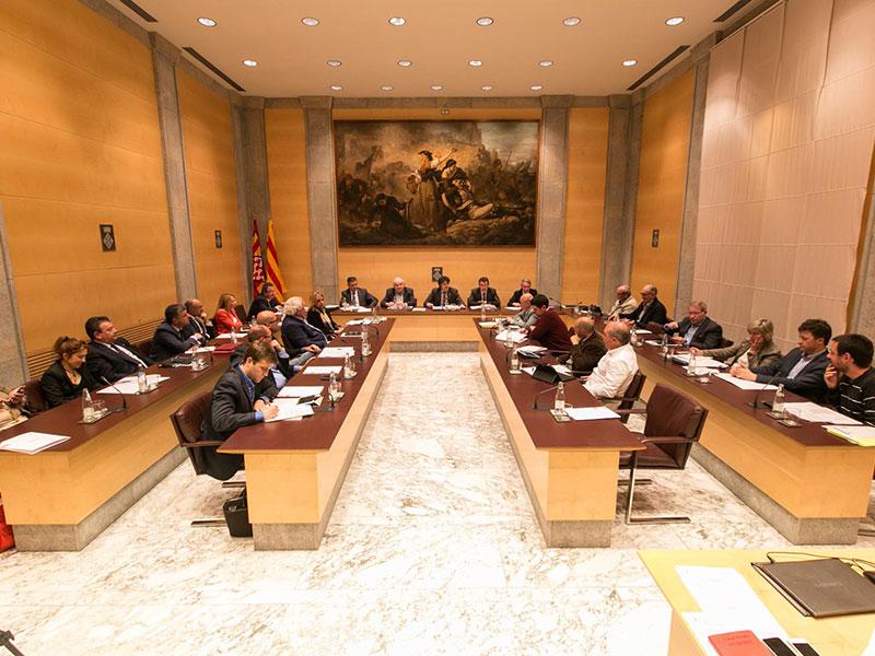 Ple de la Diputació de Girona.