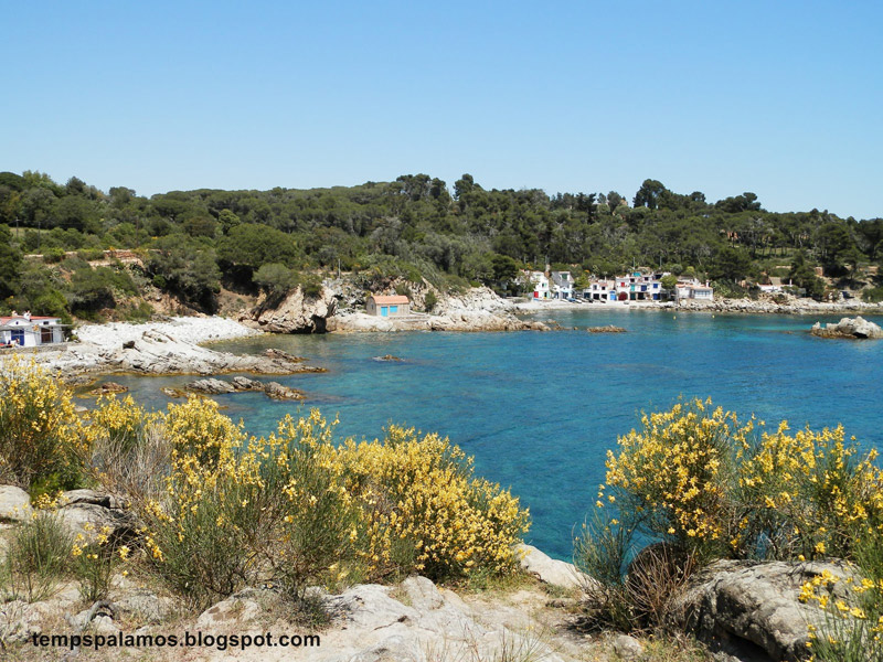 S'Alguer, en un bon dia de la setmana passada a Palamós. (Foto: tempspalamos.blogspot.com.)