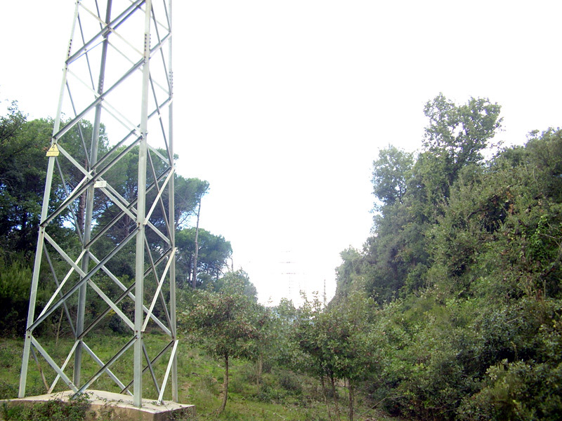 Franja de terreny forestal neta, al costat d'una torre elèctrica. (Foto: ordenacioforestal.es).