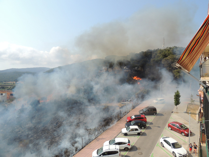Zona d'inici del foc que ha afectat avui el puig del Molí de Vent. (Foto. Anna Pérez).