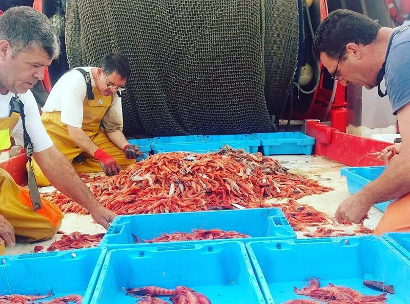 Pescadors seleccionant la gamba a la barca. Foto Museu de la Pesca