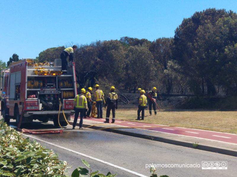 Bombers apagant un incendi de vegetació a Palamós, aquest estiu.