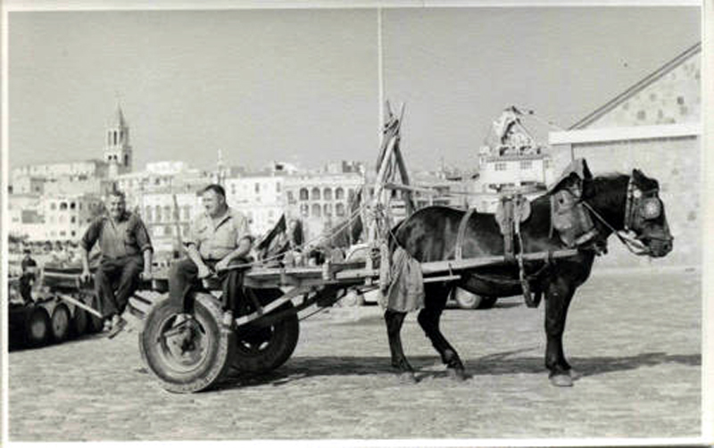 Es podran veure imatges antigues com aquesta d'un carreter del port. (Foto: Museu de la Pesca).