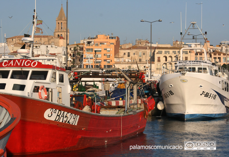 Barques de pesca al port de Palamós.