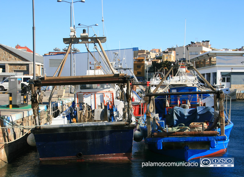 Barques d'arrossegament al port de Palamós.