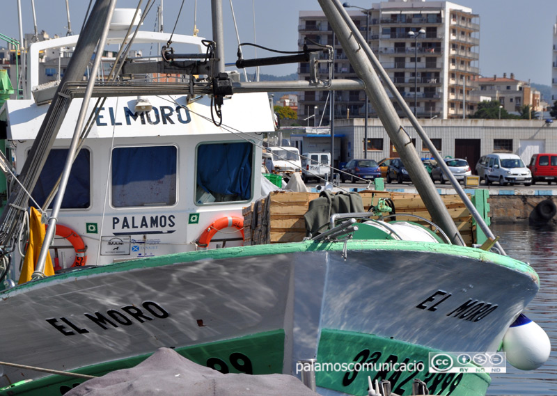 Les barques d'encerclament es quedaran a port durant un mes.