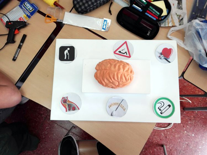 Les activitats ajuden als alumnes a aprendre coses relacionades amb l'ictus, el tema central d’aquesta activitat solidària. (Foto: Vedruna Palamós).