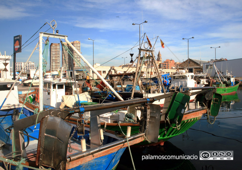 Les barques de la gamba no tornaran a pescar fins a principis de març.