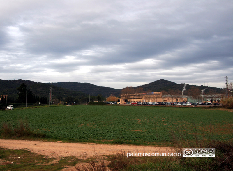 Zona de La Pietat, amb la fàbrica Hutchinson al fons, on el govern proposa ubicar el nou sòl industrial.