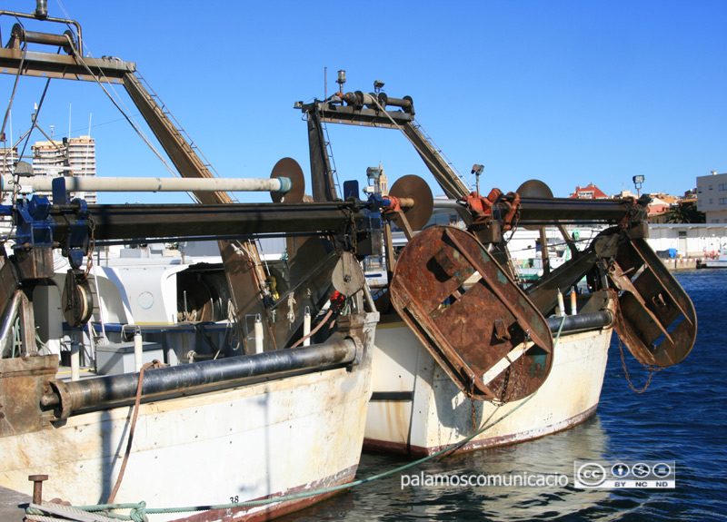 Barques d'arrossegament al port de Palamós.