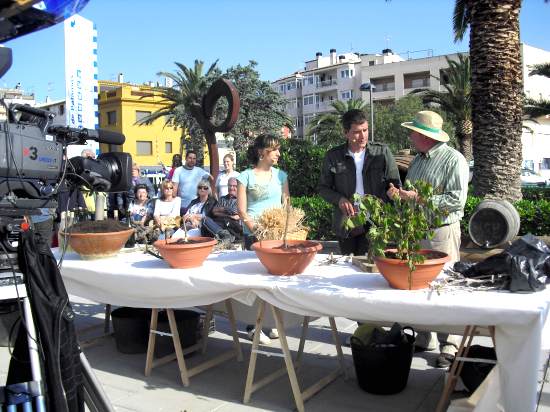 El programa 'Divendres' va venir a Palamós l'any 2010.