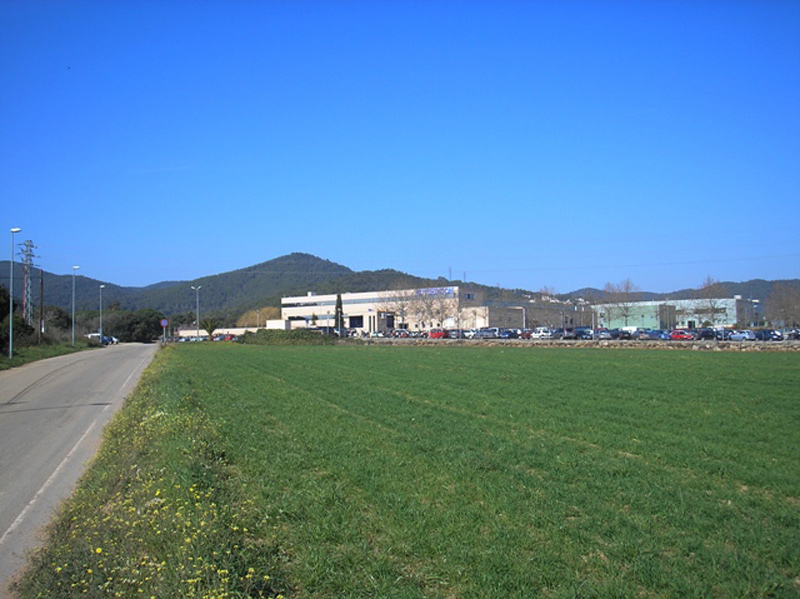 Zona de La Pietat, amb la fàbrica Hutchinson al fons, on el govern proposa ubicar el nou sòl industrial.