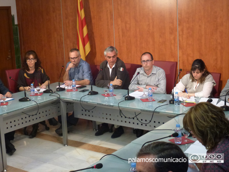Lluís Puig i Teresa Ferrés van tenir ahir discrepàncies en el Ple.
