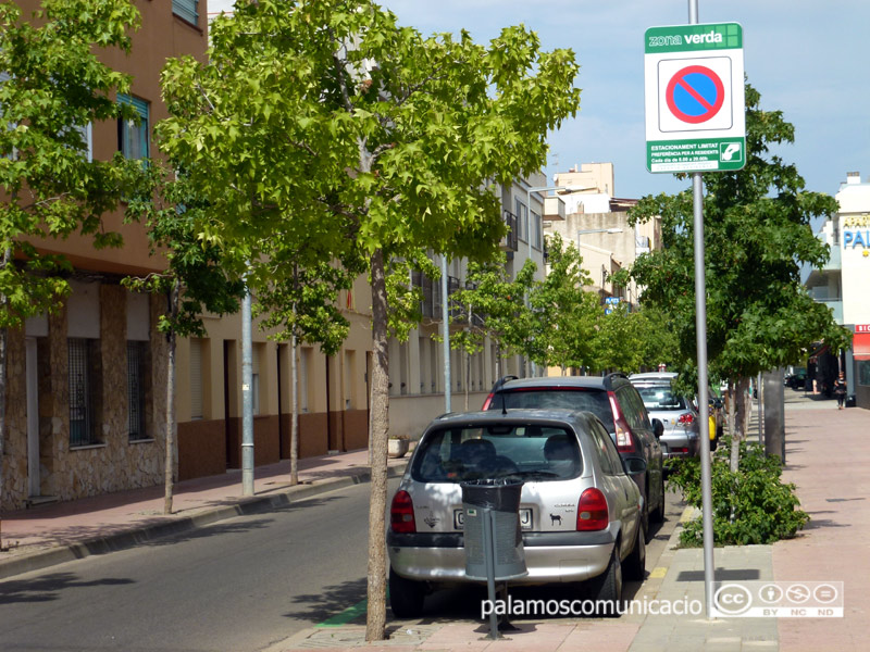 Zona verda a l'avinguda del President Macià.