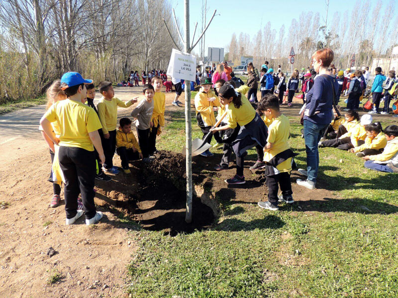 Un moment de la plantada d'arbres que s'ha fet aquest matí. (Foto: Ajuntament de Palamós).