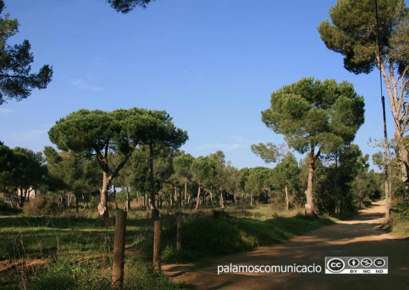 Es va firmar un conveni urbanístic que protegeix la pineda d'en Gori i la zona litoral.