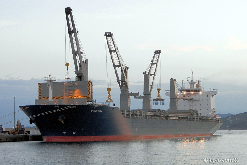 El PIF ajudaria a diversificar l'activitat comercial del port. 