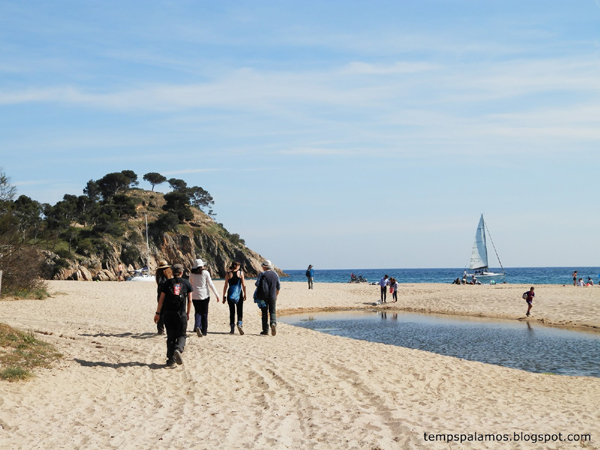 Temps assolellat i núvols alts ahir a Castell. (Foto: tempspalamos.blogspot.com).