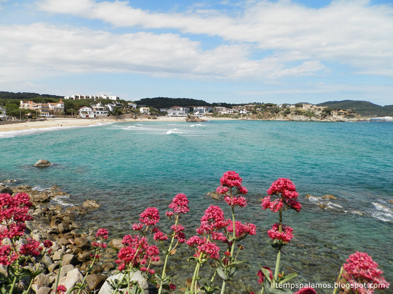 Bon dia a la platja de La Fosca la setmana passada. (Foto: Jordi Fernández tempspalamos.blogspot.com).