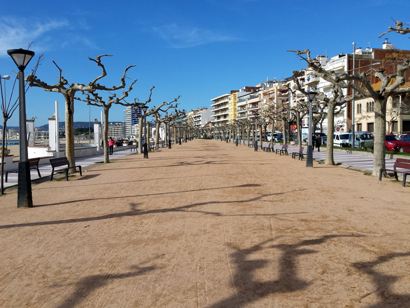 Hi havia diverses propostes de reformes al passeig del Mar. (Foto: Ajuntament de Palamós).