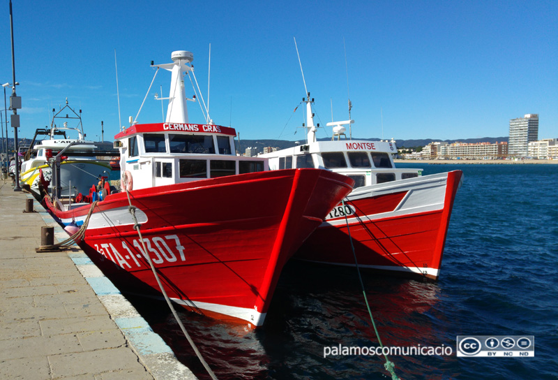 Barques de pesca al port de Palamós.