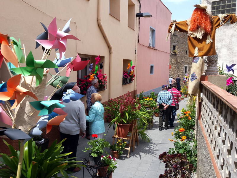 Art floral aquest diumenge als carrers del barri vell de Sant Joan. (Foto: Ajuntament de Palamós).