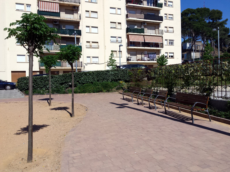 Arbres nous a la plaça de Mas Guàrdies. (Foto: Ajuntament de Palamós).