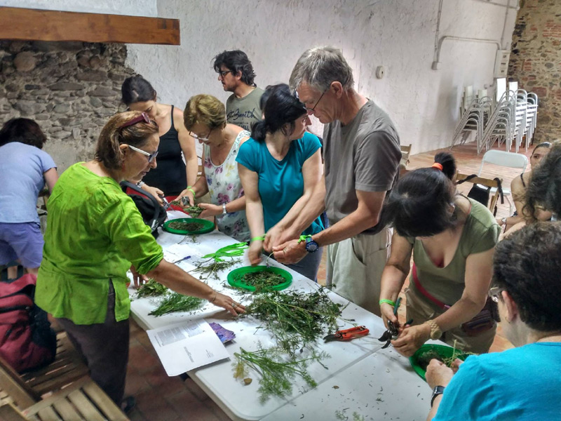 Una de les activitats que organtiza l'Àrea de Medi Ambient de Palamós.