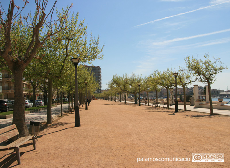 El passeig del Mar de Palamós és un dels llocs on s'ha experimentat amb alternatives als fitosanitaris.