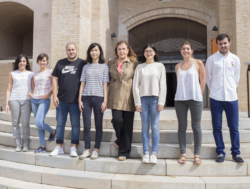Els set estudiants que han estat becats durant el curs 2016-2017 per la Càtedra de Gastronomia Calonge-Sant Antoni de la UdG.
