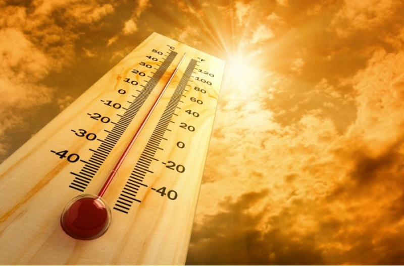 Aquesta setmana hem tingut màximes de 37 graus.