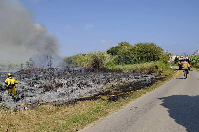La zona cremada a tocar del vial. (Foto: Josep Lois).