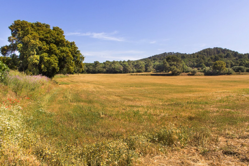 Pla de Castell on es traslladarà l'aparcament. (Foto: Ajuntament de Palamós).
