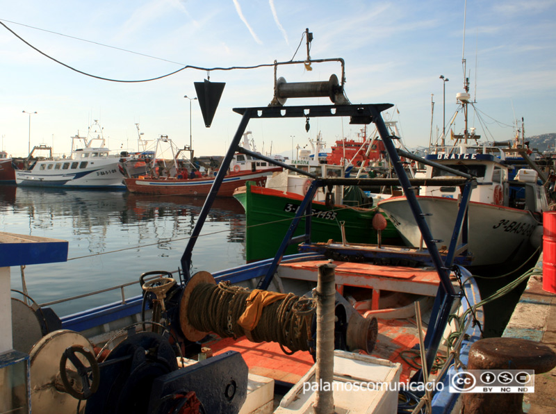 Barques d'arrossegament al port de Palamós.