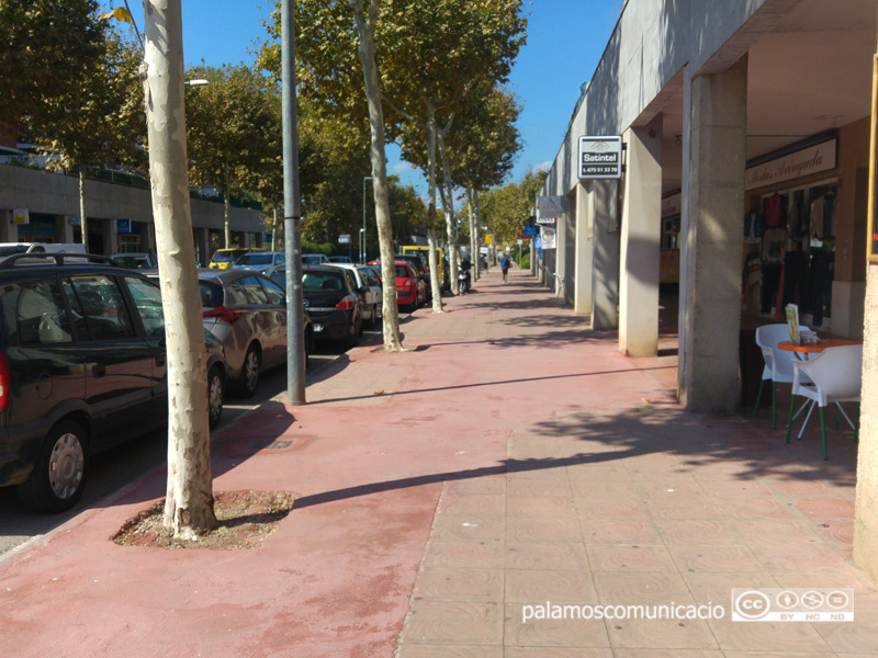 El projecte afecta aquest tram de vorera de l'avinguda de Catalunya.
