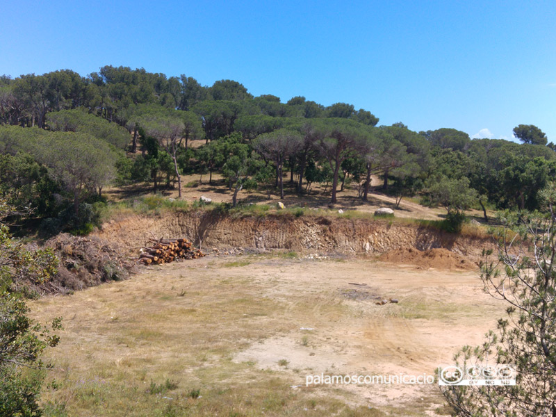 Les pinedes on està previst fer el parc d'aventura.