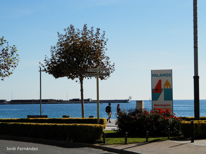 Passeig del Mar de Palamós, a mitjans de la setmana passada. (Foto: Jordi Fernández).