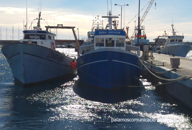 Barques de pesca al port de Palamós.