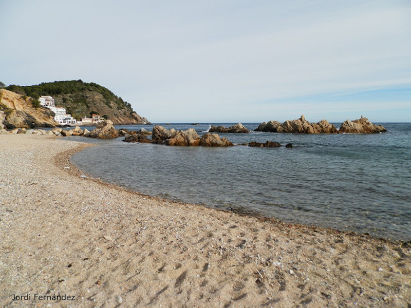 Temps assolellat i núvols alts divendres al Morro del Vedell. (Foto: Jordi Fernández. tempspalamos.blogspot.com).