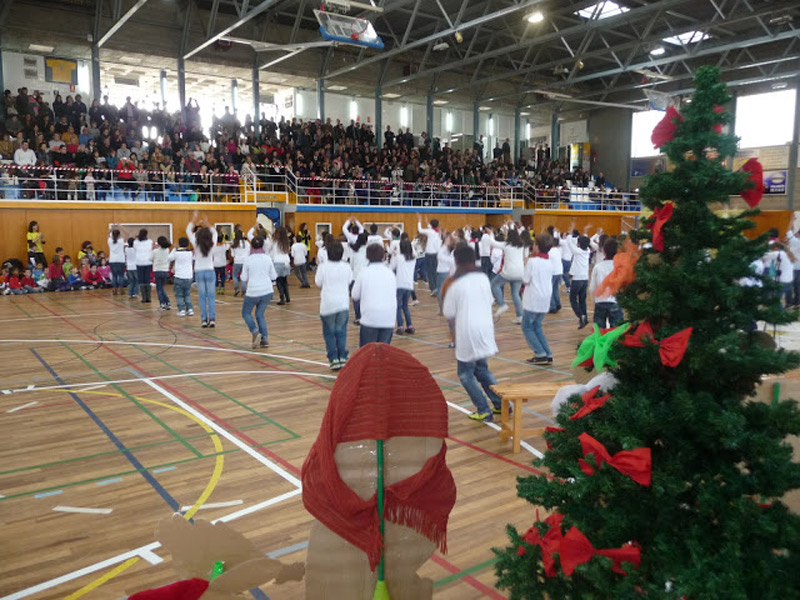 El festival es fa al Pavelló Municipal d'Esports de Palamós. (Foto: Escola Vila-romà).