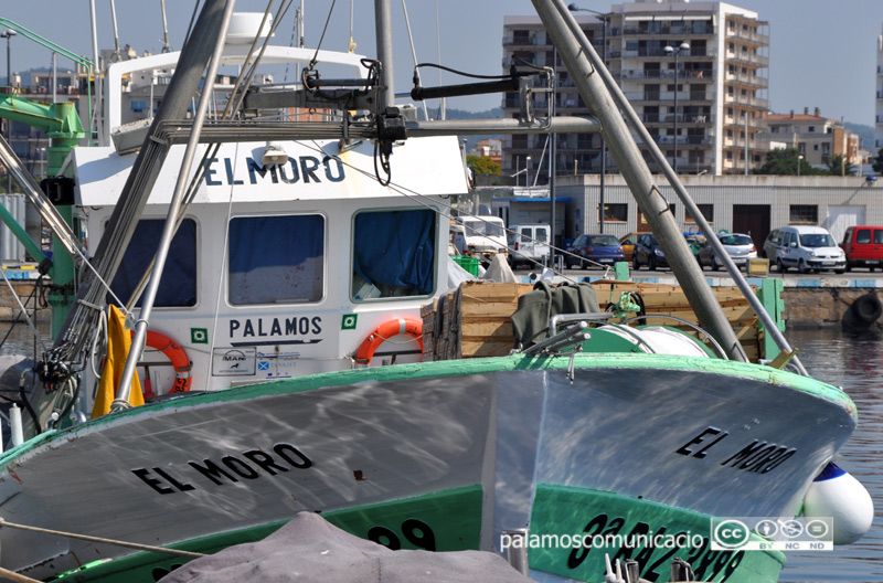 Una teranyina al port de Palamós, en una imatge d'arxiu.