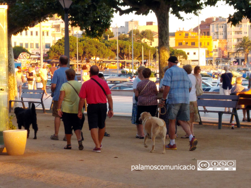 Gossos, al passeig del Mar de Palamós.