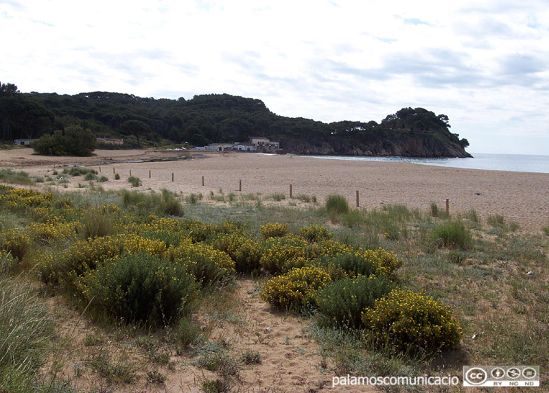 El projecte preveu, entre d'altres actuacions, la construcció d'un sistema de dunes artificial.
